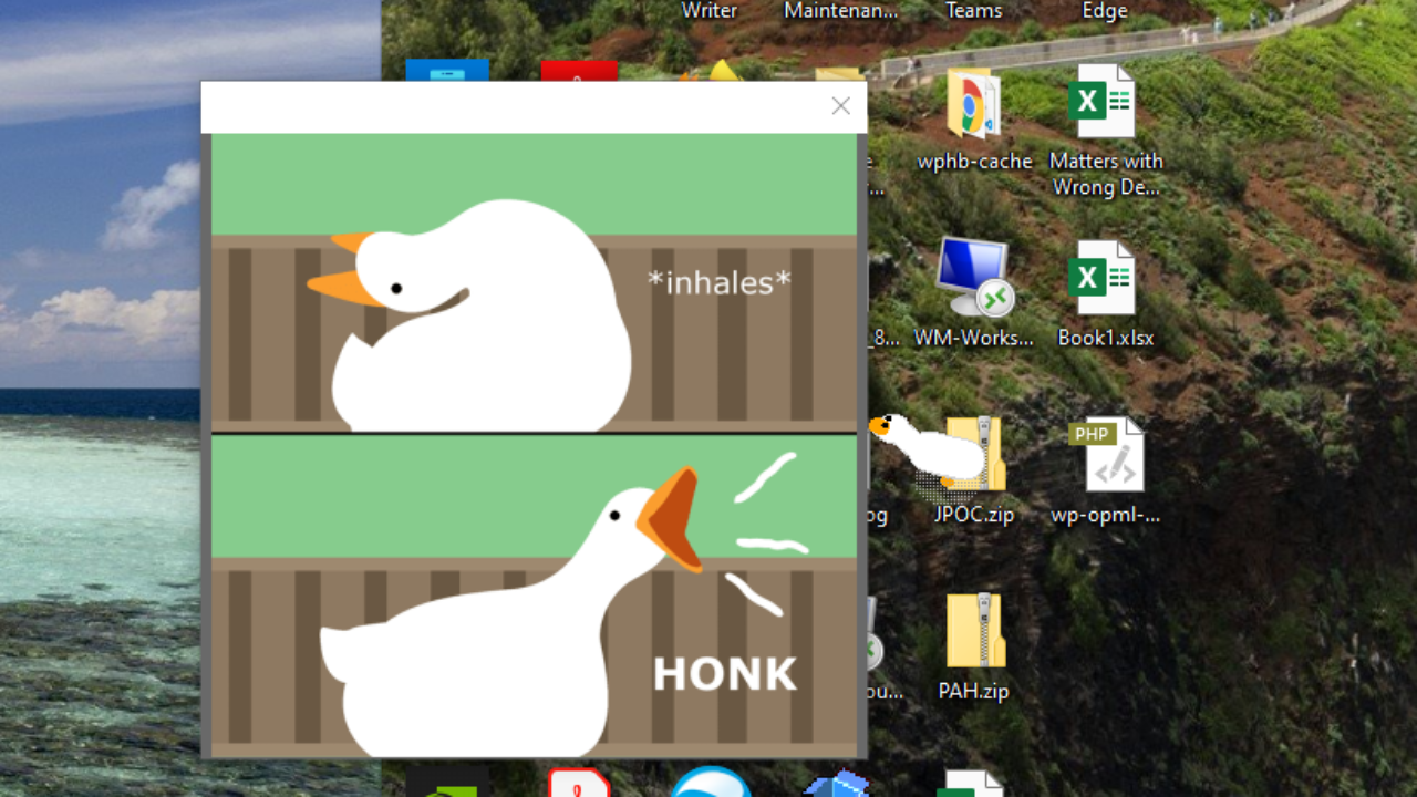 Can You Download Desktop Goose On Mac
